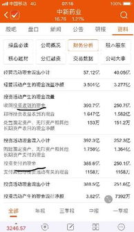 中新药业对外投资资金性质解析 自有资金与借贷资金的权衡